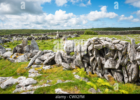 The Burren, Co. Clare, Irlande. Banque D'Images