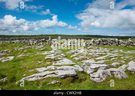 The Burren, Co. Clare, Irlande. Banque D'Images