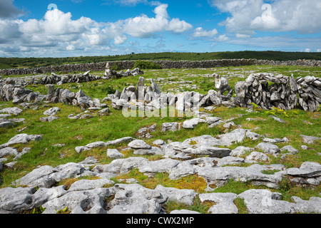 The Burren, Co. Clare, Irlande. Banque D'Images