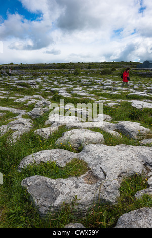 The Burren, Co. Clare, Irlande. Les trottoirs calcaires brisent des fissures ou des « grikes », laissant des roches isolées appelées « clints ». Banque D'Images