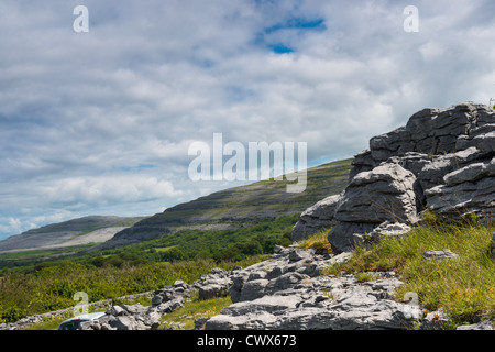 The Burren, Co. Clare, Irlande. Les trottoirs calcaires brisent des fissures ou des « grikes », laissant des roches isolées appelées « clints ». Banque D'Images