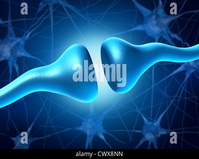 Les neurones Synapse et l'envoi de signaux électriques et chimiques pour la signalisation des récepteurs des cellules comme pour la neurotransmission le cerveau et le système nerveux dans la fonction de l'anatomie du corps. Banque D'Images