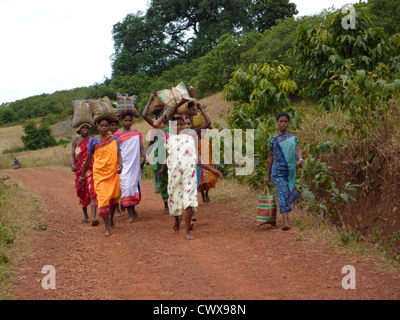 L'Orissa, Inde - Nov 12 - femmes tribales transporter des marchandises sur leur tête le Nov 12, 2009 in Ankadeli, Orissa en Inde Banque D'Images