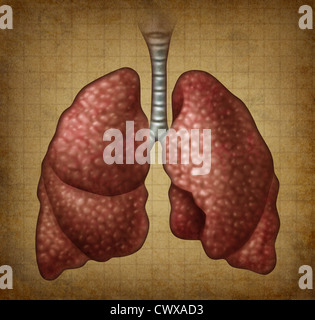 Les poumons dans old vintage grunge texture parchemin comme un symbole médical du repiratory organe comme un concept de la santé et de la médecine pour le traitement de l'anatomie cardiovasular diagnostic de symptômes cliniques. Banque D'Images