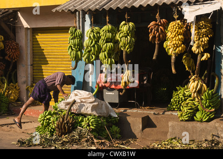 L'Inde, le Kerala Elk201-3033, Kollam, stand de fruits, bananes Banque D'Images