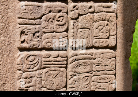 La stèle stèles petroglyph comprimé dans le parc archéologique de Quirigua, Site du patrimoine mondial de l'UNESCO, au Guatemala, en Amérique centrale. Banque D'Images