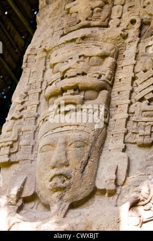 La stèle stèles petroglyph comprimé dans le parc archéologique de Quirigua, Site du patrimoine mondial de l'UNESCO, au Guatemala, en Amérique centrale. Banque D'Images