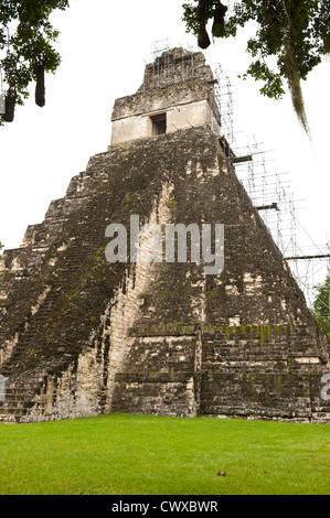 Ruines du temple pyramide maya, Tikal National Park, parc national de Tikal, Site du patrimoine mondial de l'UNESCO, au Guatemala, en Amérique centrale. Banque D'Images