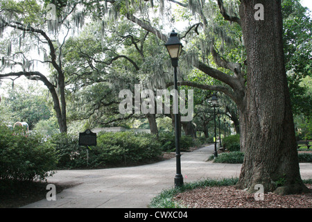 La lumière de la rue des chênes moss soirée ga Savannah en Géorgie Banque D'Images