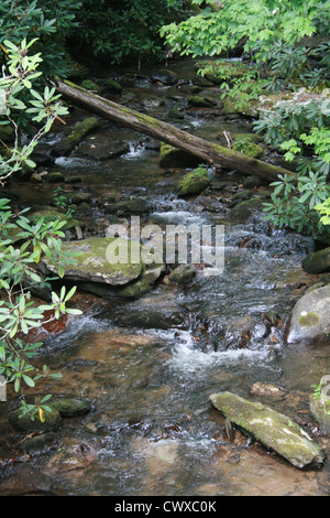 Les rivières d'eau de montagne ruisseau ruisseaux creek Banque D'Images