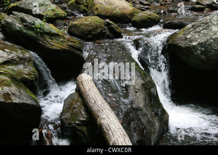 Les rivières d'eau de montagne ruisseau ruisseaux creek Banque D'Images