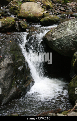 Les rivières d'eau de montagne ruisseau ruisseaux creek Banque D'Images