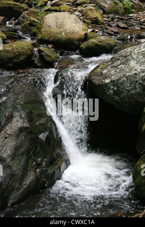 Les rivières d'eau de montagne ruisseau ruisseaux creek Banque D'Images