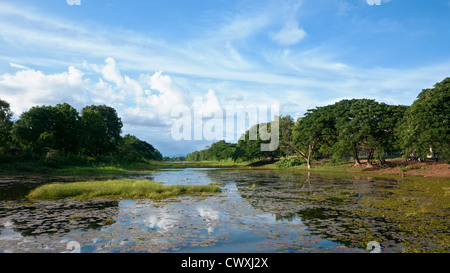 Les douves autour des 800 ans du Temple de Banteay Chhmar dans la province de Banteay Meanchey, au nord-ouest du Cambodge. Banque D'Images