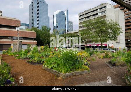 Le jardin de la Communauté urbaine de Davie Village, Vancouver, Canada Banque D'Images