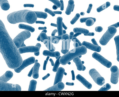 Les cellules des bactéries virus isolé sur fond blanc Banque D'Images