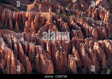Coucher du soleil sur l'hoodoos de Bryce Point, Bryce Canyon National Park, Utah. Banque D'Images