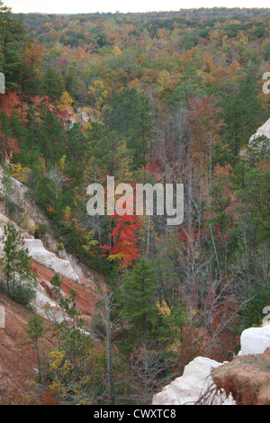 Providence Canyon State Park photo montagne paysage structure de fossé d'argile peu Géorgie grand canyon Banque D'Images