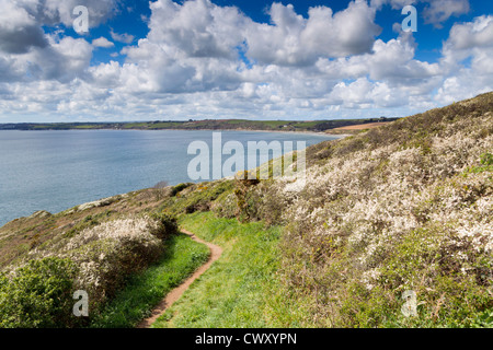 Nêtes-tête ; à la plage ; Pendower vers St Just in Roseland, Cornwall, UK Banque D'Images