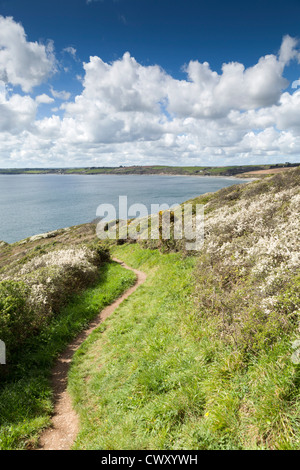 Nêtes-tête ; à la plage ; Pendower vers St Just in Roseland, Cornwall, UK Banque D'Images