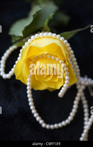 Rose jaune drapé dans un collier de perles blanches sur un fond noir Banque D'Images