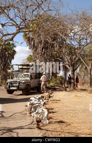 Les touristes de rejoindre leurs voitures pour un safari en jeep, le lac Manze camp, le Selous Tanzanie Afrique Banque D'Images