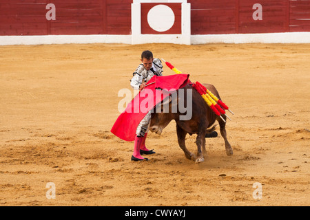 La tauromachie en Espagne. 20 juillet 2012, la Linea de la Concepcion, Espagne. Banque D'Images