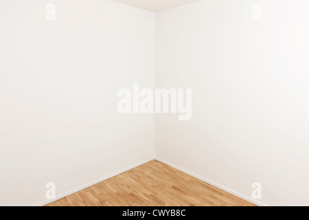 Espace vide dans un appartement moderne avec beaucoup d'espace de copie Banque D'Images