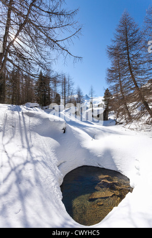 La neige Brook dans le groupe Bio-bauernhof Obertrattenbachhof, Tyrol, Autriche Banque D'Images