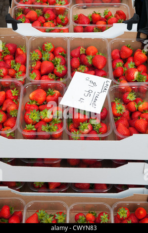 Petites fraises sucrées en vente durant le Ludlow 2012 Food Festival Banque D'Images