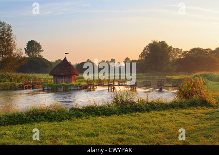 Lever du soleil sur la rivière Test à Longstock dans Hampshire Banque D'Images