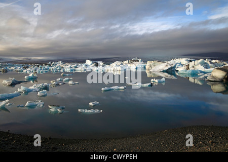Les glaces à la dérive dans la lumière du soir sur le lac glacier Joekulsarlon, Islande Banque D'Images