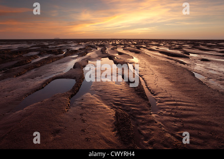 Des empreintes de pas d'oiseaux échassiers sur les vasières de la baie de sable près de Weston-super-Mare. Le Somerset. L'Angleterre. UK. Banque D'Images