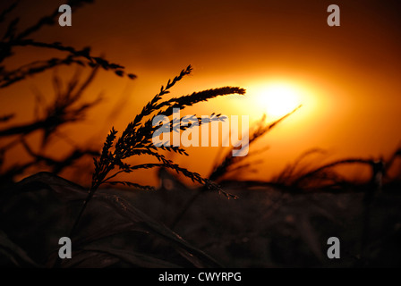 Coucher de soleil nuageux sombre dramatique Banque D'Images