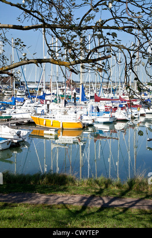 Yachts amarrés dans le port de plaisance de Tollesbury Banque D'Images