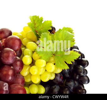 Photo of grapes variety, different kind of vine, colors grape border, three bunch of grapes isolated on white background Banque D'Images