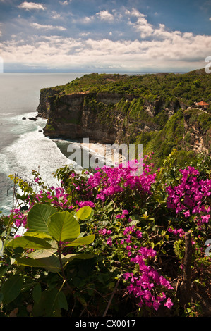 Afficher le long de la côte depuis le parc du temple de Pura Luhur Uluwatu, dans le sud de la péninsule de Bukit Bali, Bali, Indonésie. Banque D'Images