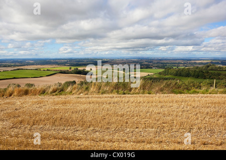 Paysage English Channel au moment de la récolte en vue de patchwork des champs d'un champ de chaume haut sous un ciel nuageux Banque D'Images