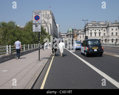 Les femmes deux cavaliers de la police en patrouille crossing Waterloo Bridge vers le Strand, London England Banque D'Images