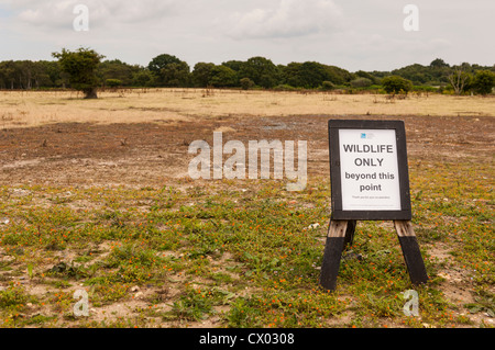 La mention de la faune qu'à la réserve d'oiseaux RSPB Minsmere dans Suffolk , Angleterre , Angleterre , Royaume-Uni Banque D'Images