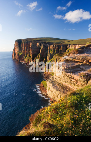 Falaises au nord de l'ancien homme de Hoy, Hoy, îles Orcades, Ecosse, Royaume-Uni. Banque D'Images