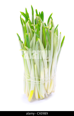 Légumes botte ramson isolé sur fond blanc Banque D'Images