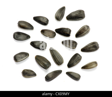 Graines de tournesol isolated on white Banque D'Images