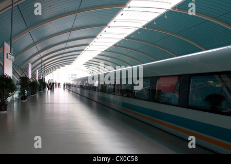 Bullet train en attente dans la station, Shanghai, Chine Banque D'Images