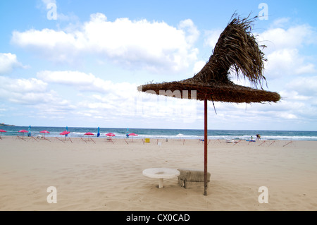 Canne parapluie après la saison. Banque D'Images