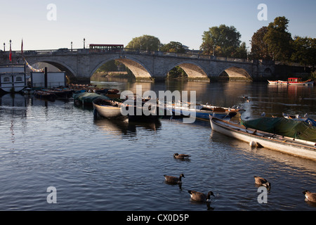 Bateaux amarrés dans la Tamise près de Richmond Bridge,Richmond-Upon-Thames, Royaume-Uni Banque D'Images