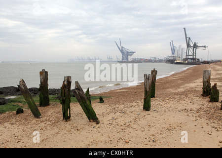 Plage de Languard Fort, avec des grues de quai Quai de la Trinité dans l'arrière-plan, Felixstowe, Suffolk, UK Banque D'Images