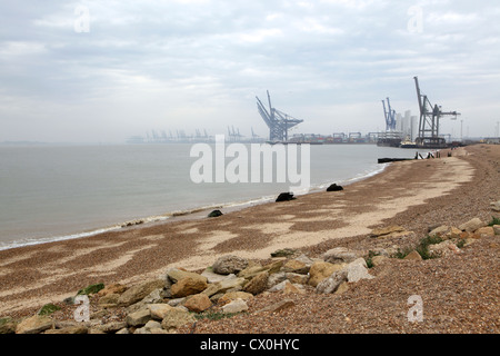 Plage de Languard Fort, avec des grues de quai Quai de la Trinité dans l'arrière-plan, Felixstowe, Suffolk, UK Banque D'Images