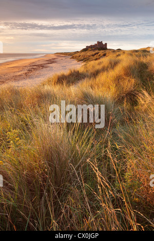 Aube sur Château De Bamburgh sur la côte de Northumberland. Banque D'Images