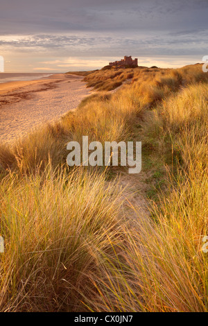 Aube sur Château De Bamburgh sur la côte de Northumberland. Banque D'Images